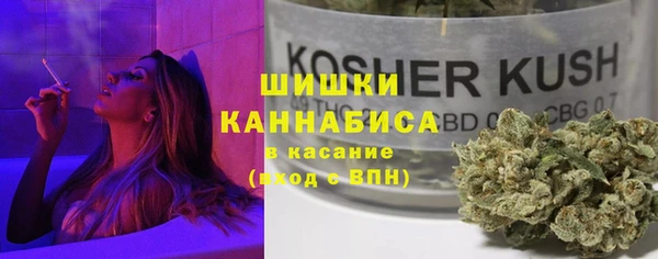 крисы Бугульма