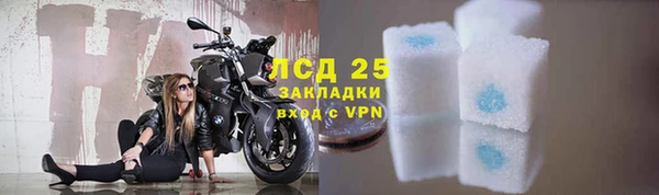 спайс Бородино