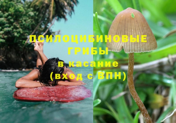 2c-b Верея
