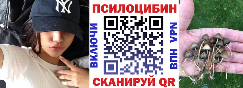 Псилоцибиновые грибы Psilocybe  Ермолино 